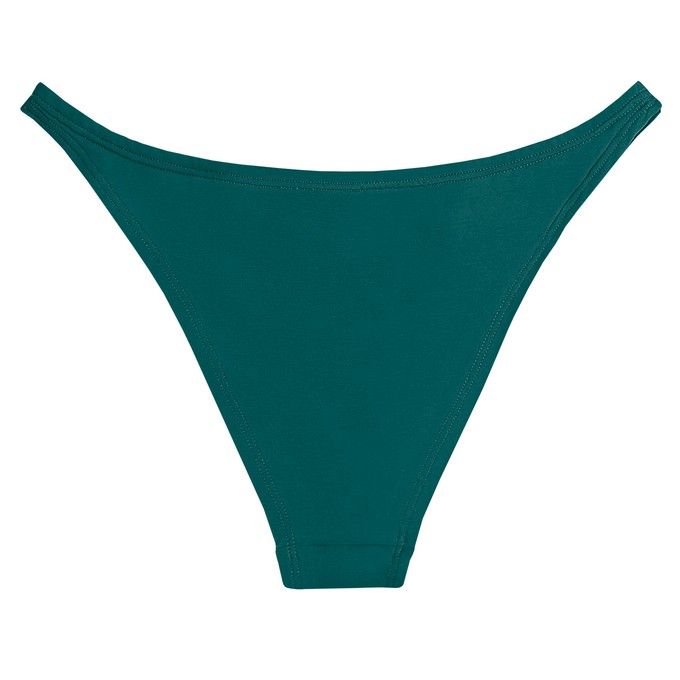 Everglade Brazilian Panty from TIZZ & TONIC