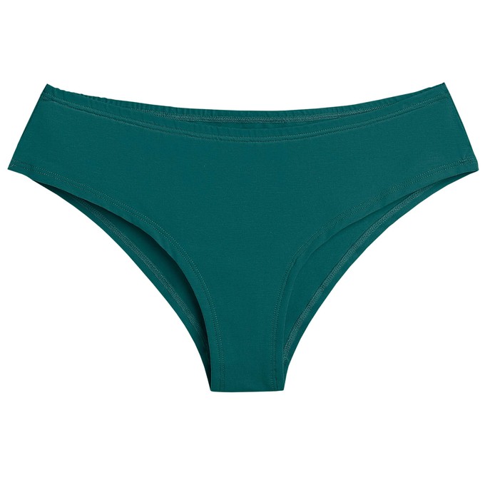 Everglade Cheeky Panty from TIZZ & TONIC