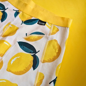 Lemon Organic Cotton Boxer Brief from TIZZ & TONIC