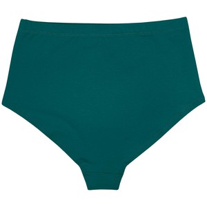 Everglade Hi-Waist Panty from TIZZ & TONIC