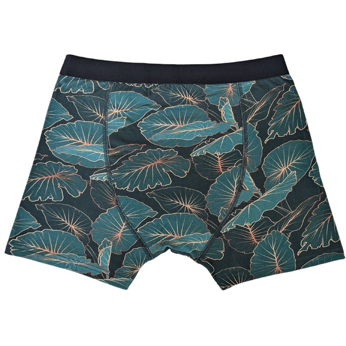 Jungle Micromodal Boxer Brief from TIZZ & TONIC