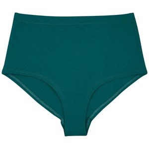 Everglade Hi-Waist Panty from TIZZ & TONIC