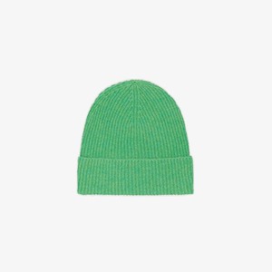 Kasjmier Muts | Absolut Cashmere | Groen from WhatTheF