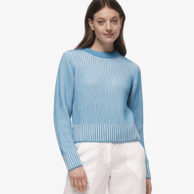 Grofgebreide Sweater | Lanius | Blauw Wit from WhatTheF