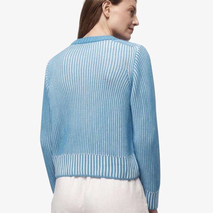 Grofgebreide Sweater | Lanius | Blauw Wit from WhatTheF