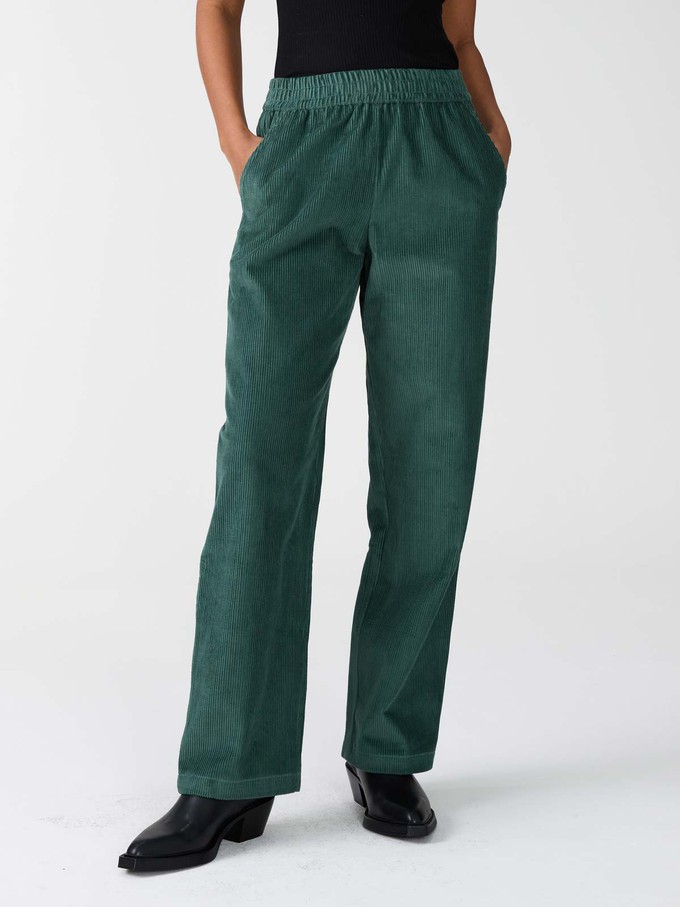 teal Marta Pants from Yahmo