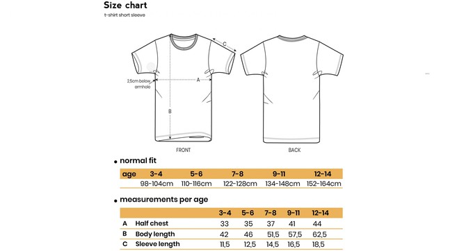 Kinder t-shirt ‘Hippo opticmistic’ | Grey from zebrasaurus
